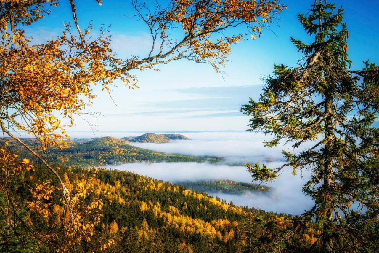 Break Sokos Hotel Koli Колинкюла Экстерьер фото